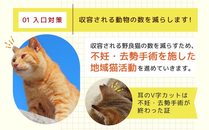 「犬猫殺処分ゼロプロジェクト」の寄附受付を長崎県ふるさと納税で開始しました。