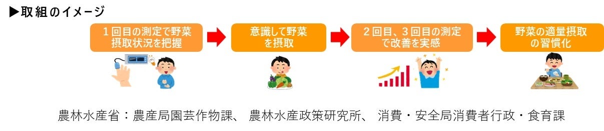 農林水産省　令和5年度野菜摂取量の見える化の取組結果を公表