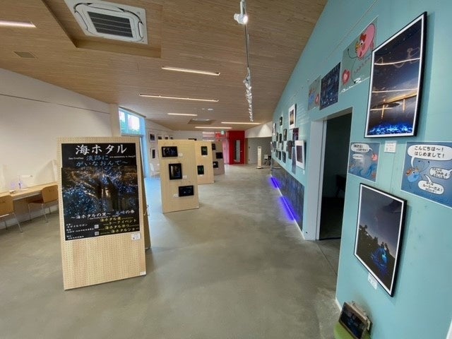 （一社）淡路島観光協会が、淡路島西海岸にてSmile Ribbonが主催する「世界初の海ホタルショー」を販売