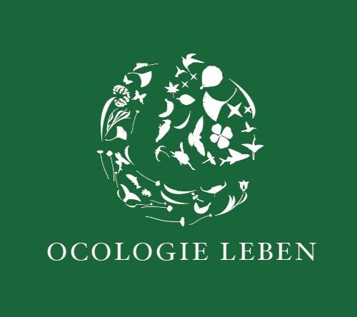 株式会社OKOLOGIE LEBENの設立について