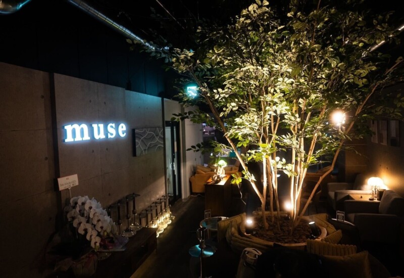 東北地方初のmuse出店となるシーシャカフェ&バーmuse山形店が6月3日にグランドオープン。