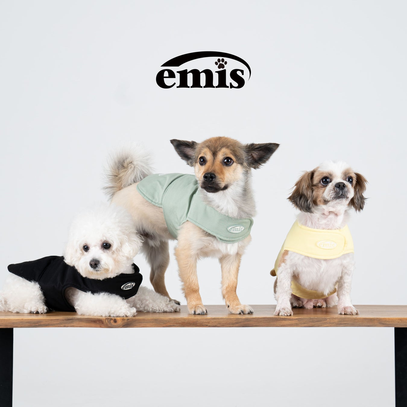 【日本初上陸！】韓国の人気ブランド「emis」がペットアイテムを日本市場に！「emis pet」が表参道ヒルズで4...
