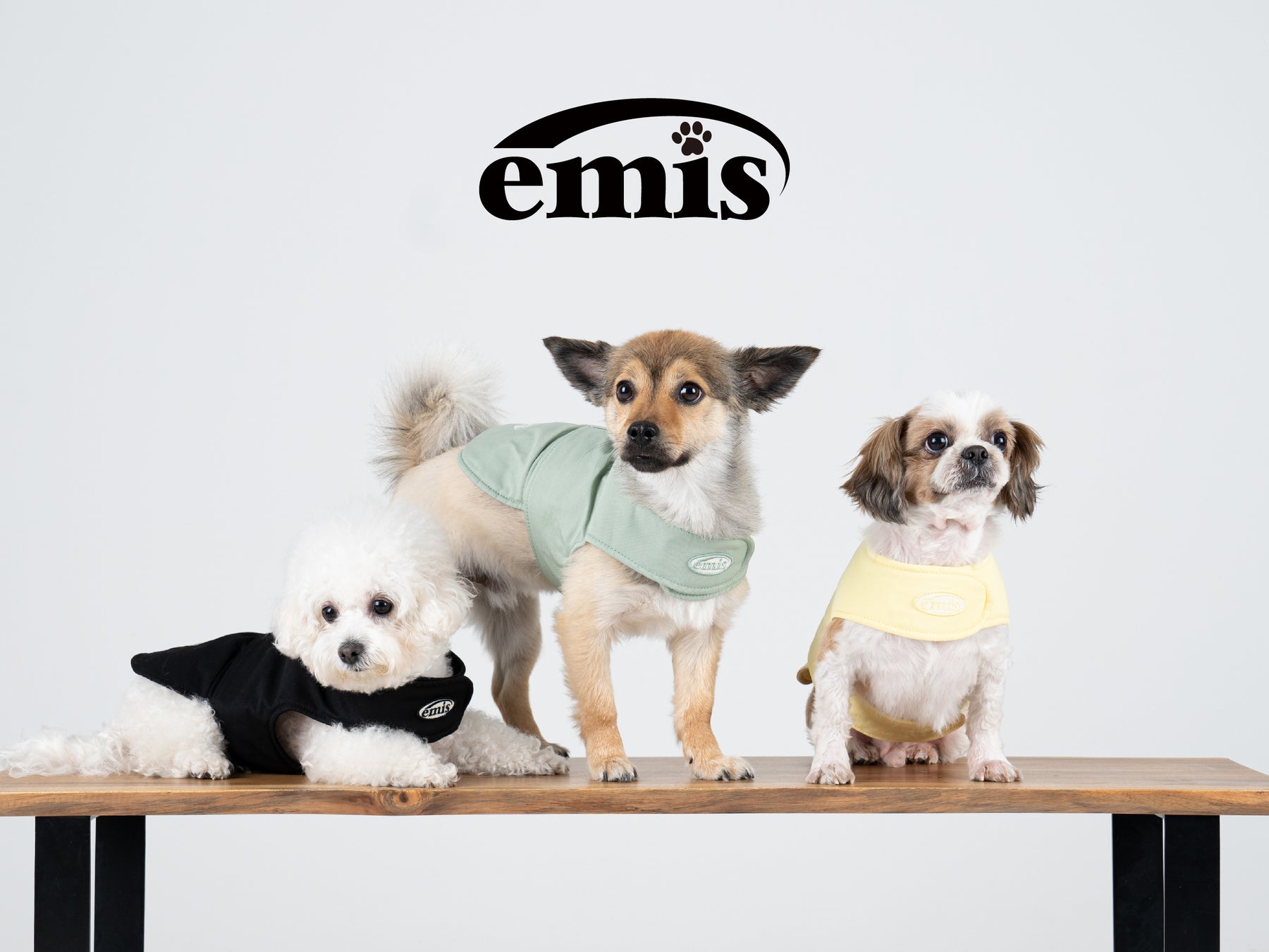 【日本初上陸！】韓国の人気ブランド「emis」がペットアイテムを日本市場に！「emis pet」が表参道ヒルズで4...