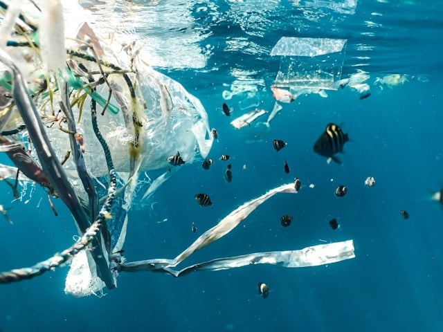 海洋プラスチック問題解決に貢献！卓上ダンボールシュレッダー『DeKulum』で、あなたの会社も脱プラへ