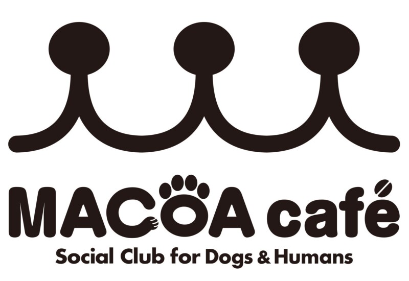 那覇市新都心の犬と人間が一緒に過ごせるソーシャルクラブMACOA Café (マコアカフェ)