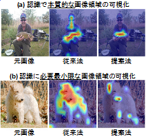 図3：提案法と従来法（Attention Rollout）の比較。(a) 認識に本質的な画像領域の可視化。この部分を隠すと画像認識AIは対象を認識できないという領域。(b) 認識に必要最小限な画像領域の可視化。この部分のみで画像認識AIは対象を認識できると