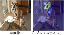 ゲーム理論でAIの視点を可視化 画像認識AIの判断根拠を可視化する新技術