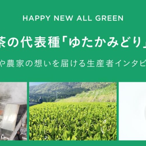 シングルオリジン・ティーを丸ごと楽しむ「ALL GREEN」から鹿児島茶の代表種「ゆたかみどり」が登場！