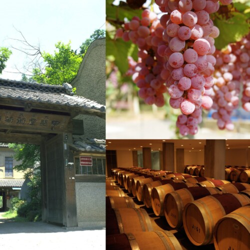 【シェラトン都ホテル大阪】シャトー・メルシャン 日本ワインセミナー「日本を世界の銘醸地に」開催