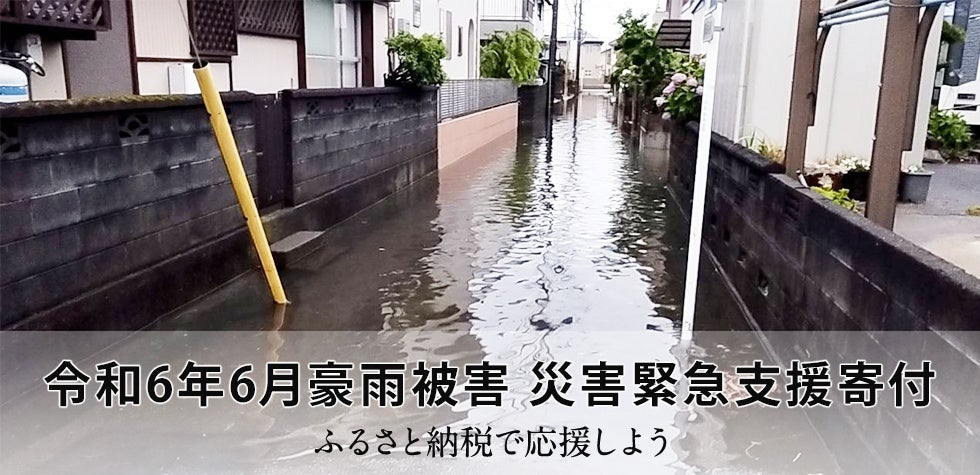 さとふる、「令和6年6月豪雨被害 災害緊急支援寄付サイト」を開設