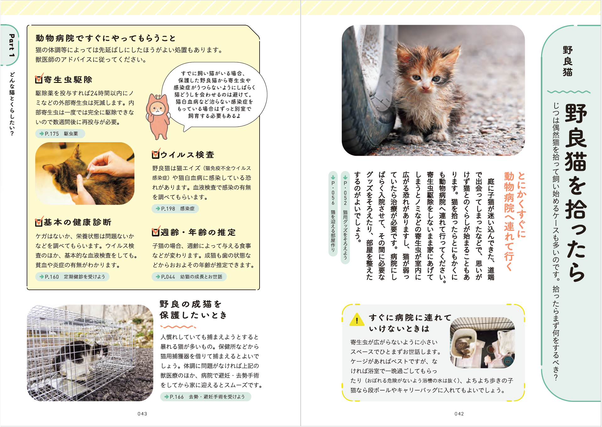 はじめて猫を飼う人のための本『猫とくらそう　世界一わかりやすい猫飼いスタートブック』6月13日発売　　人...