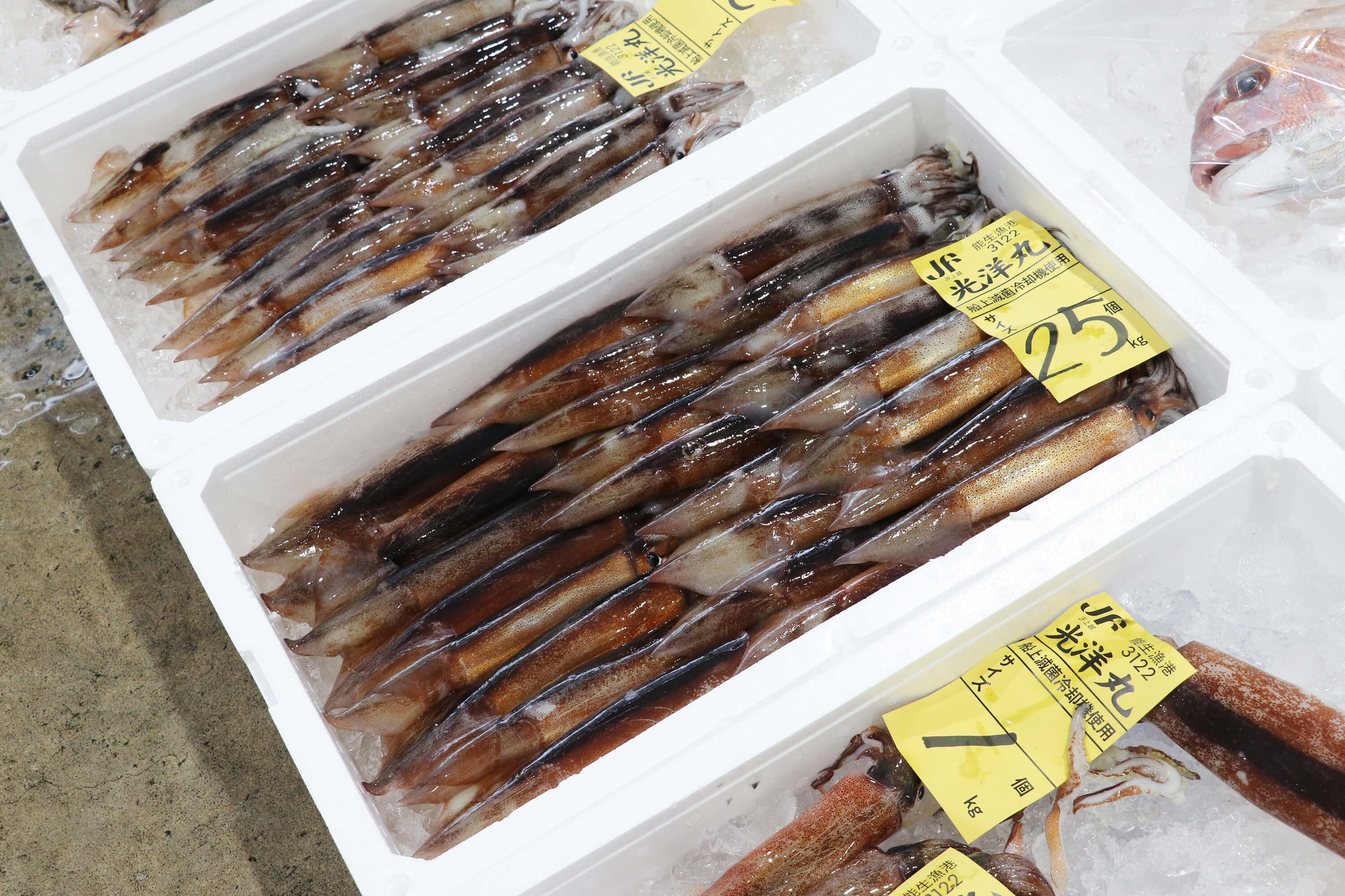 新幹線荷物輸送「はこビュン」で届いた新鮮魚介を使った『日本海、佐渡沖の地魚握り寿司10貫盛』数量限定販売...