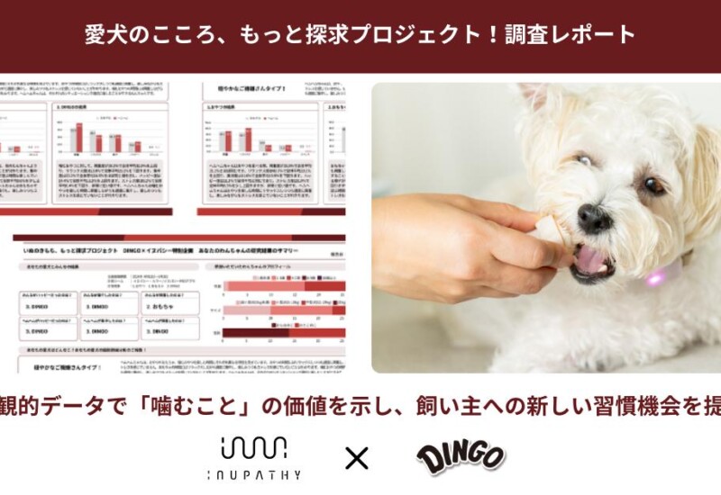 【調査レポート】イヌパシー｜イヌの本能に寄り添うデータ解析を実施！客観的データで「噛むこと」の価値を示...