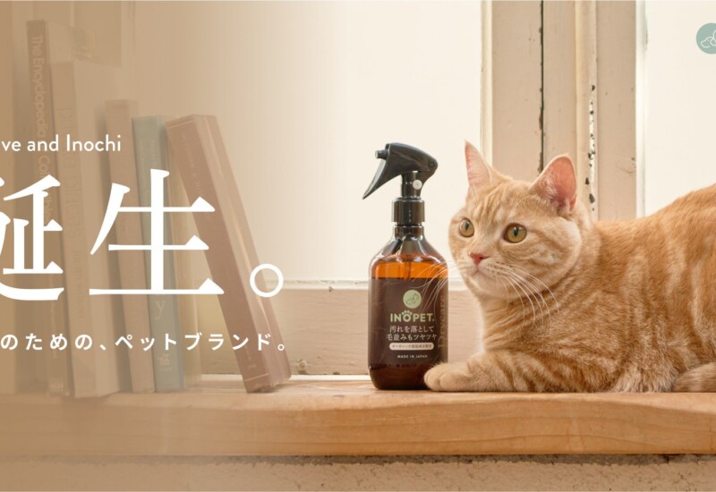 【INOPET】お水を使わず簡単に被毛ケア「Drycare Shampoo／ドライケア シャンプー」を新発売