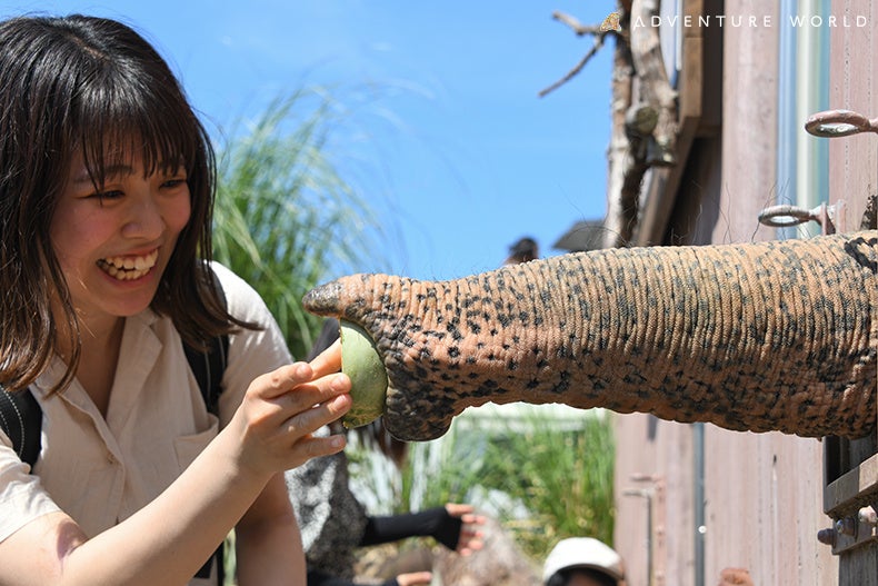 近畿大学との産学連携で摘果メロンを動物の食事に活用！パークの社員食堂で新メニューとしても提供します。