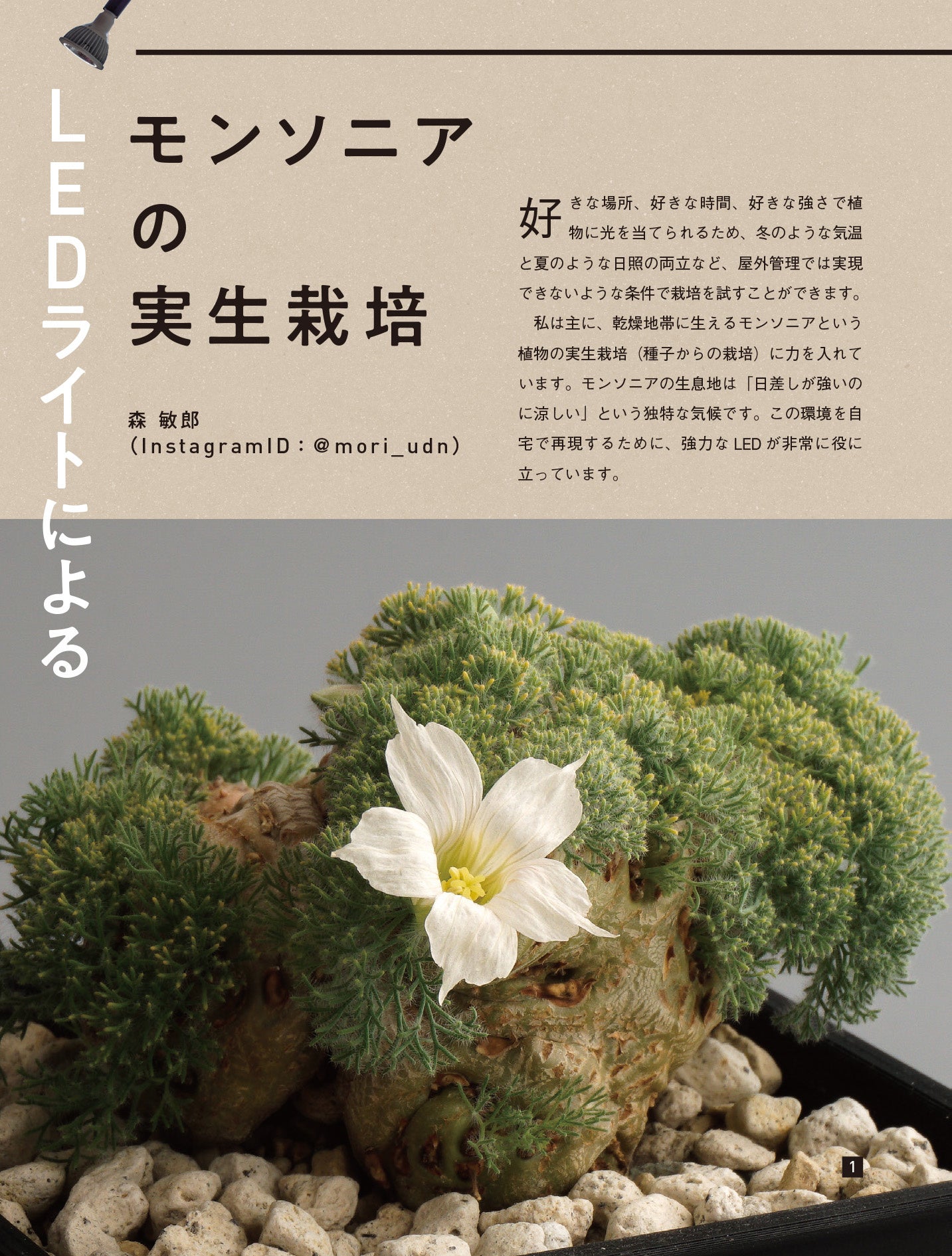 LEDライトで室内の植物を元気に育てるためのスタートアップガイド『LED LIGHT 室内栽培基本BOOK』6/19発売