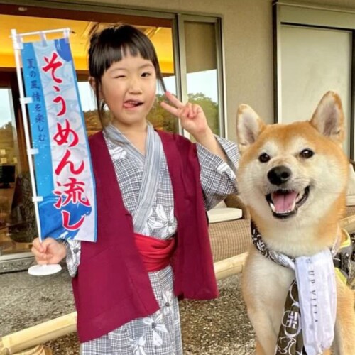 夏の恒例「愛犬流しそうめん」2024年6月25日からロングラン開催！今年は「神戸牛ステーキ」も流せます！