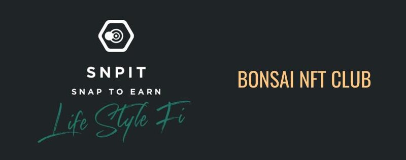 Snap to Earn「SNPIT」、「BONSAI NFT CLUB」とコラボレーション決定