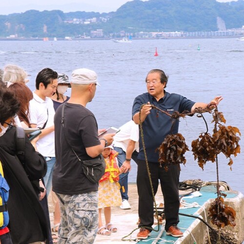 海の森をつくるブルーカーボンベルトを提唱するリビエラは日本初のマリーナ藻場再生サイトにて、見学会を【リ...