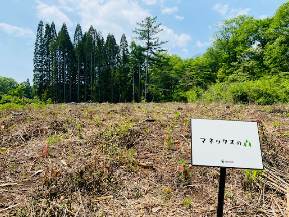 円建社債の販売手数料の一部を用いて長野県信濃町で植林活動を実施