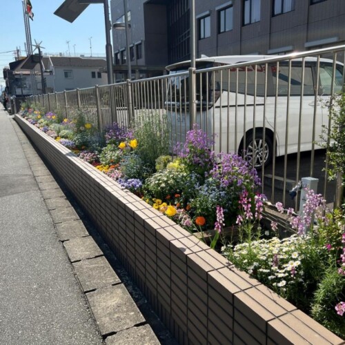 【東京都町田市】2024年度春の花壇コンクール審査結果を発表します