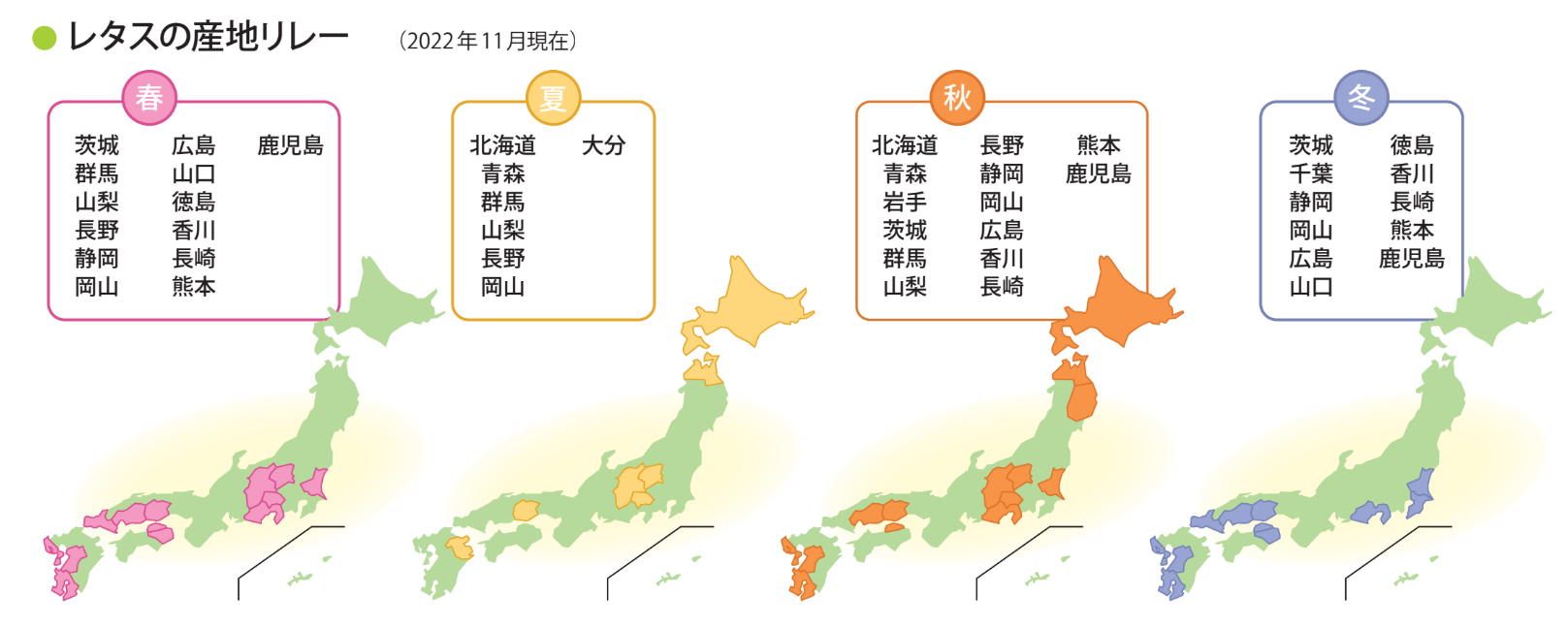 旬に合わせ、美味しいレタスをより多くお客様にお届け値段はそのまま！「カットレタス」等3品を25%増量