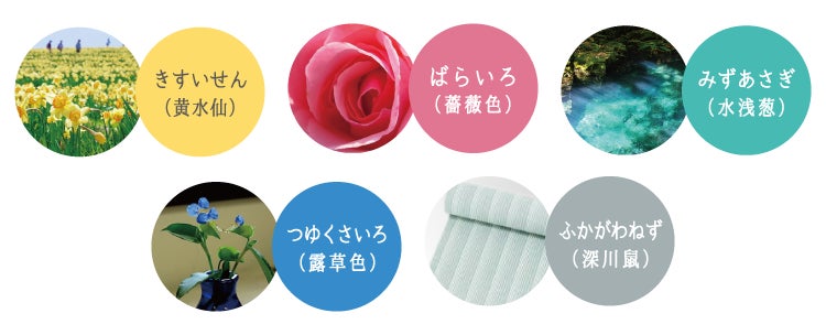 【Cohana日本橋本店 7周年記念】限定カラー はさみ３種を6月11日に発売