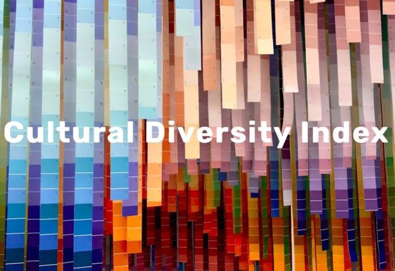組織の文化的多様性の包摂度合いを評価する指針「Cultural Diversity Index2024」の認証システムへのエントリ...