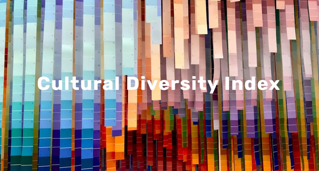 組織の文化的多様性の包摂度合いを評価する指針「Cultural Diversity Index2024」の認証システムへのエントリ...