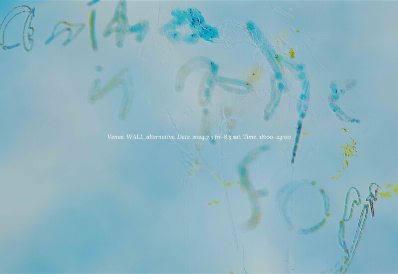 気鋭アーティスト・米澤柊が初めて企画を務める展覧会「Anima in the fog」を7月5日（金）から8月3日（土）ま...