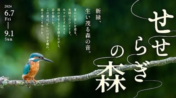 おやど森の音が提案するウェルネスツーリズム。夏の朝活「森の朝ヨガプログラム」を提供。〈実施レポート〉