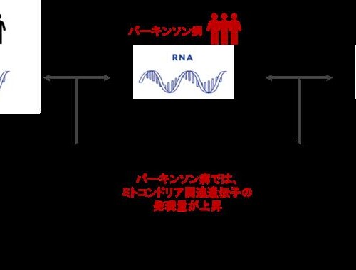 パーキンソン病患者に特異的な皮脂RNA情報の同定に成功
