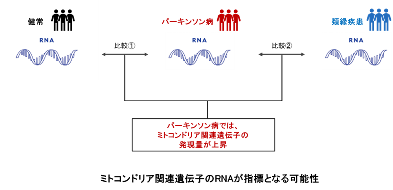 パーキンソン病患者に特異的な皮脂RNA情報の同定に成功