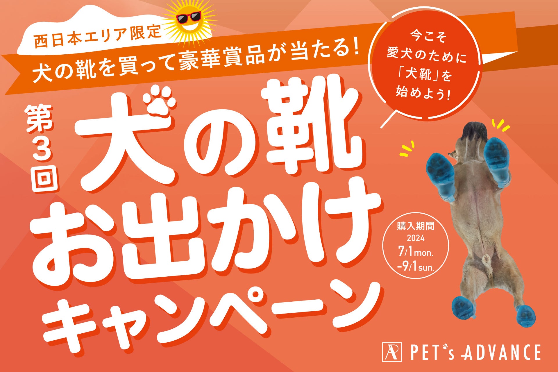 西日本限定！犬の靴お出かけキャンペーン開催！