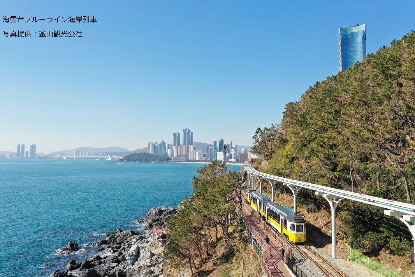 ≪下関港発着≫関釜フェリーで行く　海雲台ブルーライン海岸列車と日光海岸で絶品ウニのビビンバランチ！書洞迷...