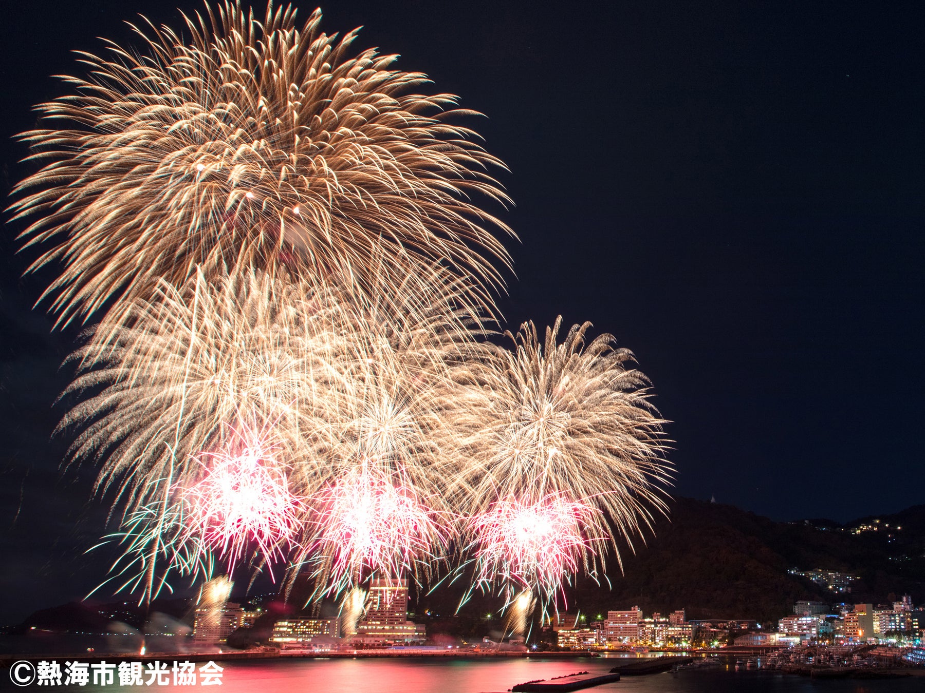 特急「熱海海上花火大会号」を利用した旅行商品を販売します！