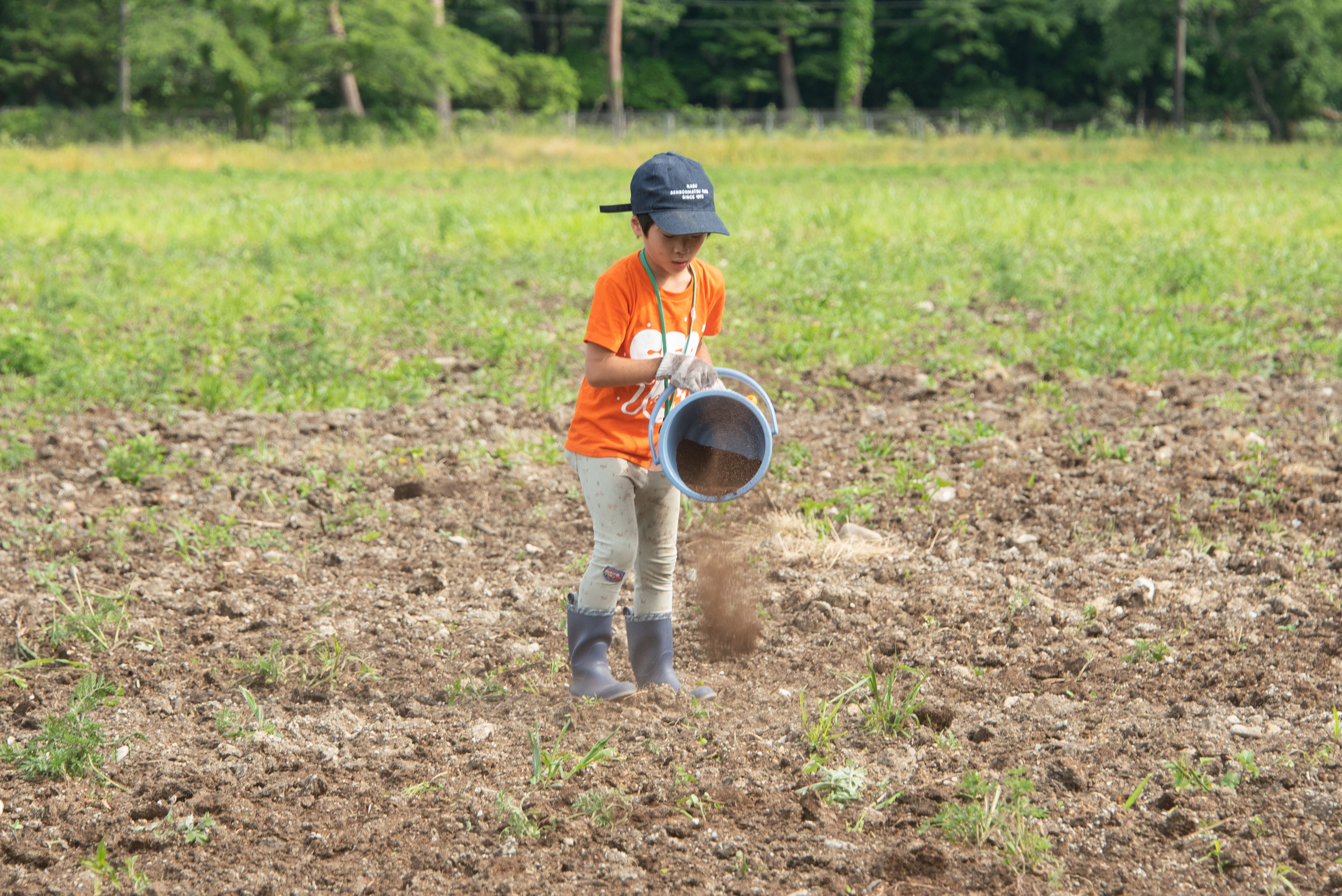 石拾いや肥料まき　循環型酪農の工程体験