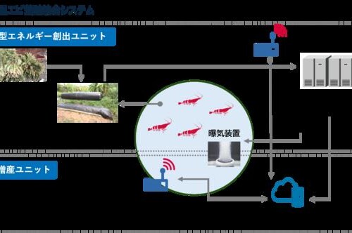 日本初！グリーンエネルギーとIoTを活用したエビ養殖に挑戦