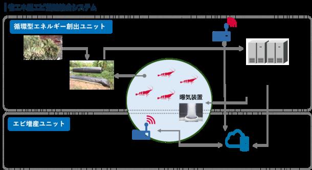 日本初！グリーンエネルギーとIoTを活用したエビ養殖に挑戦