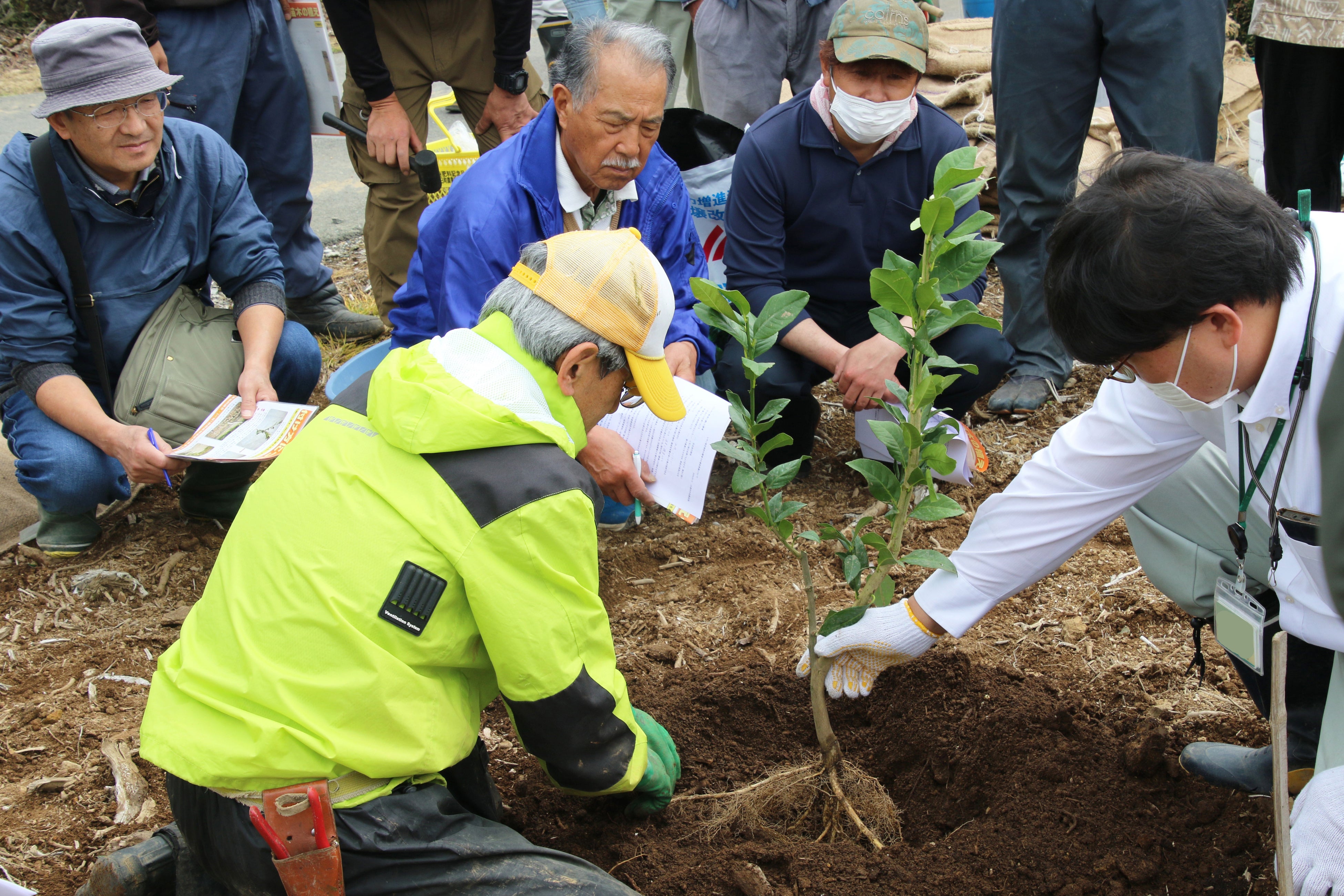 【静岡県内初】レモンの産地化による地域活性化のための連携協定を締結しました