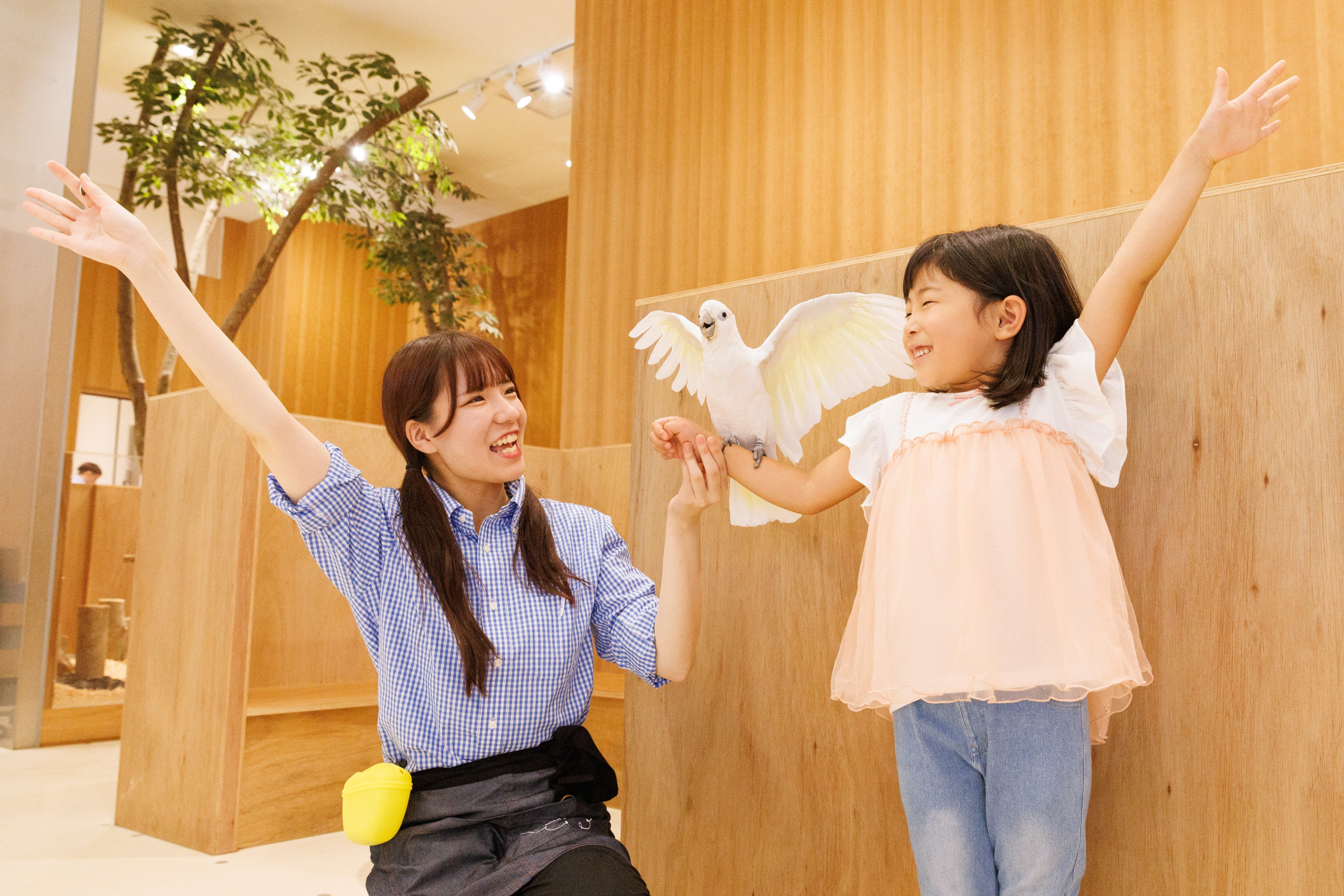 『Moff animal cafe 海老名ビナウォーク店』がオープン！夏休みはたくさんの動物たちとふれあいの時間を！