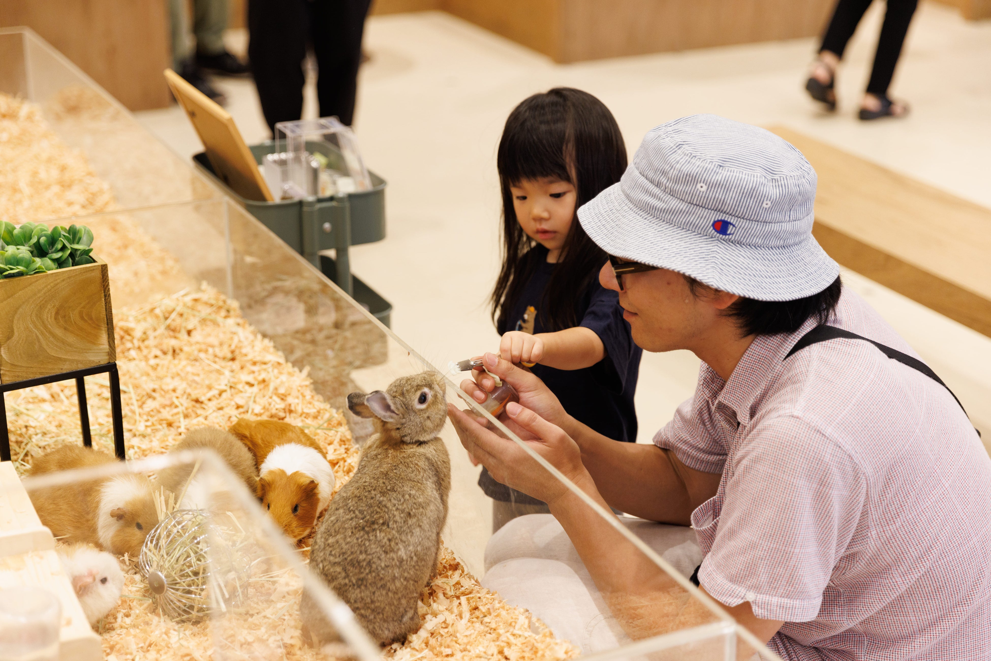 『Moff animal cafe 海老名ビナウォーク店』がオープン！夏休みはたくさんの動物たちとふれあいの時間を！