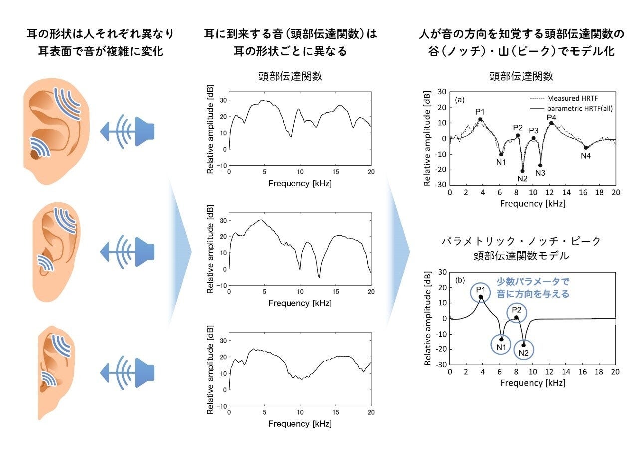 図3．耳の形によって異なる頭部伝達関数を少数のパラメータで表現可能なパラメトリック・ノッチ・ピーク 頭部伝達関数モデル