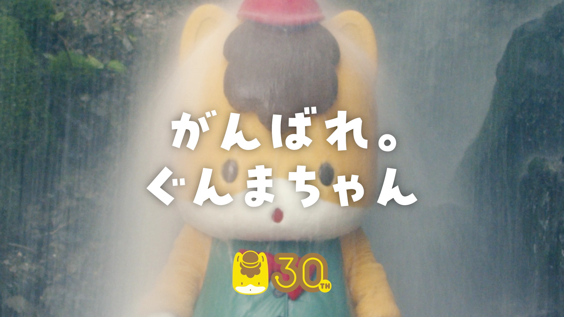 世界初！？マスコットキャラクターがまさかの滝行に挑戦！​群馬県宣伝部長 ぐんまちゃん 初単独WEB CM​『ぐん...