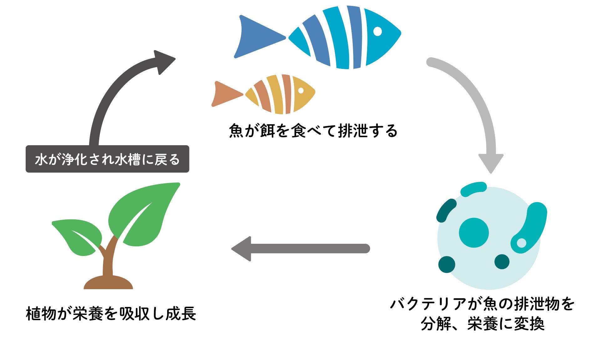 日本最大級のアクアポニックス農場を運営する会社が、農業展示会で新製品を発表