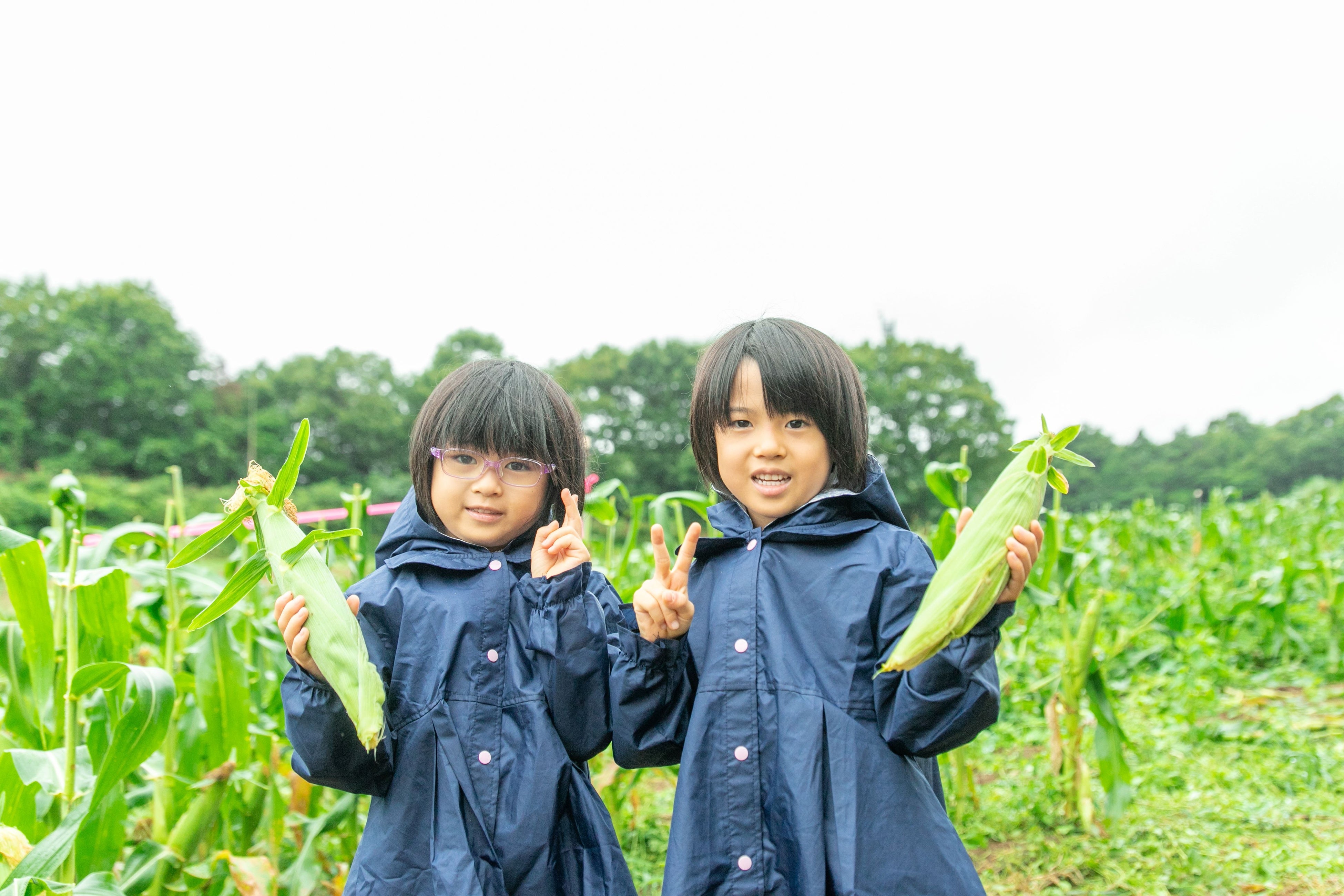 【広島／世羅】完全予約制！とうもろこし収穫体験《世羅高原農場》