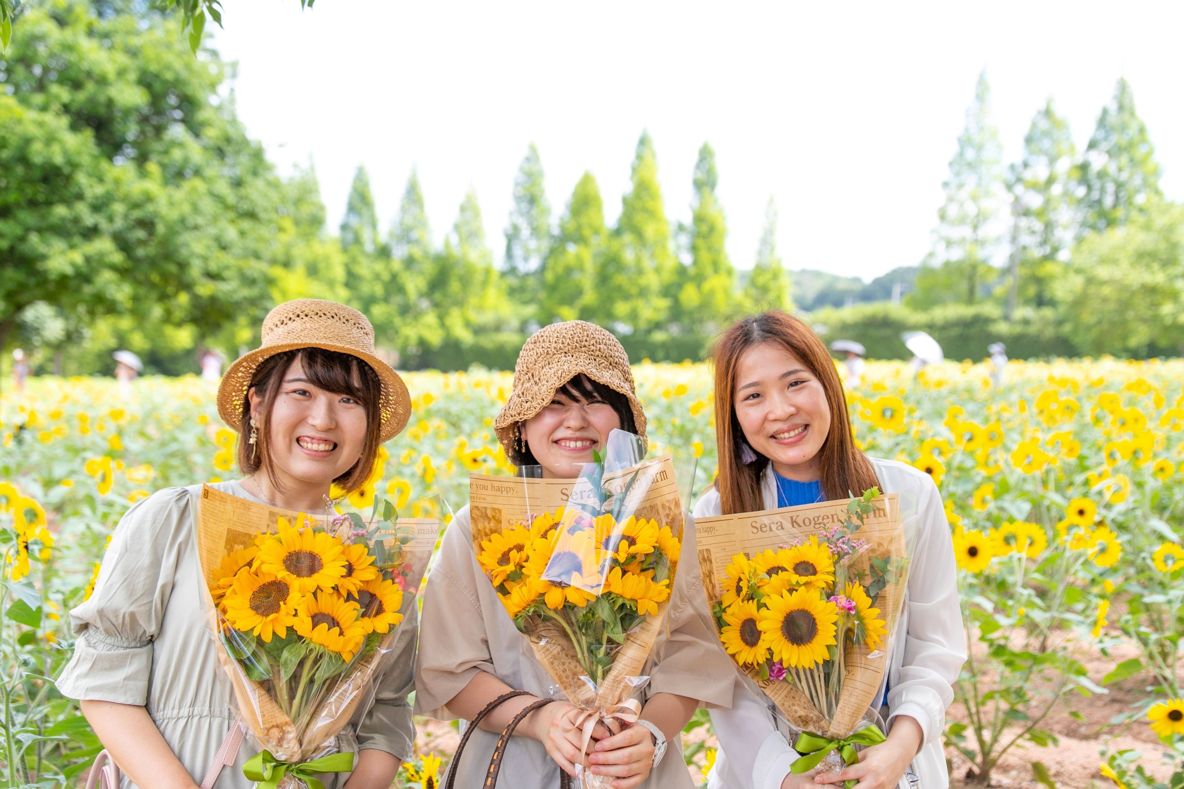 【広島／世羅】サプライズでひまわりの花束を贈ろう　サプライズSummerブーケ《世羅高原農場》