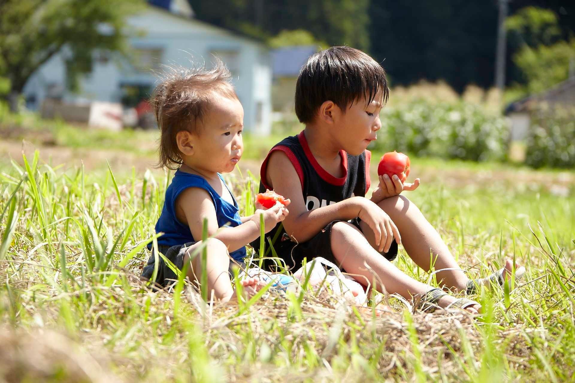 あの夏が帰ってくる。泥だらけになって遊べるイベント「ストライダーどろん子フェス!!」開催！親子で「あの夏...