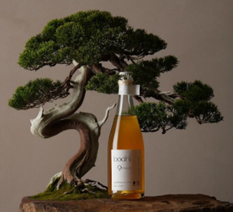 「SPARKLING TEA WINE“bodhi 9(nava)”(ボーディーナヴァ)」をMakuakeにて販売開始