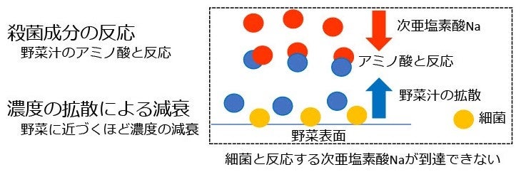 ＜講演レポート＞一般社団法人 日本パン技術研究所「野菜やサラダの殺菌と保存性について」